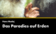 Das Paradies auf Erden Ein Film von Hans Madej